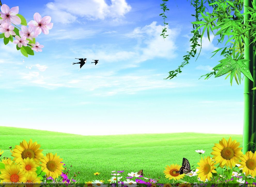 中央空調(diào)清洗需要多少錢(中央空調(diào)清洗多少錢一個出風口)