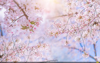 中央空調(diào)計費系統(tǒng)廠家有哪些(中央空調(diào)計費系統(tǒng))